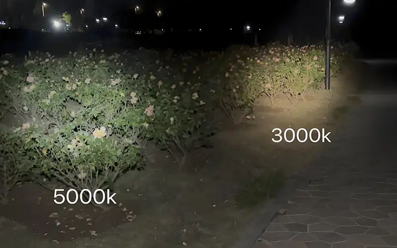 3000K vs 5000K