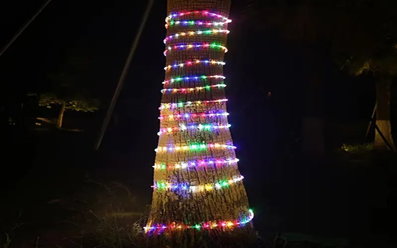 Quali applicazioni di illuminazione scelgono la luce a corda LED