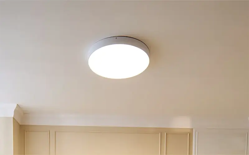 Plafoniera centrale del soggiorno che illustra